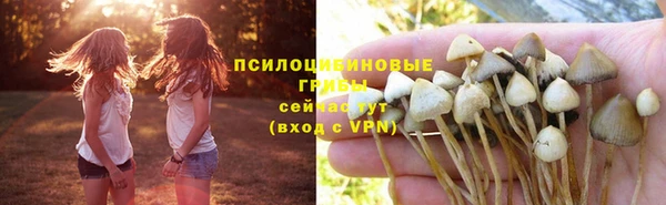 гашишное масло Богородск