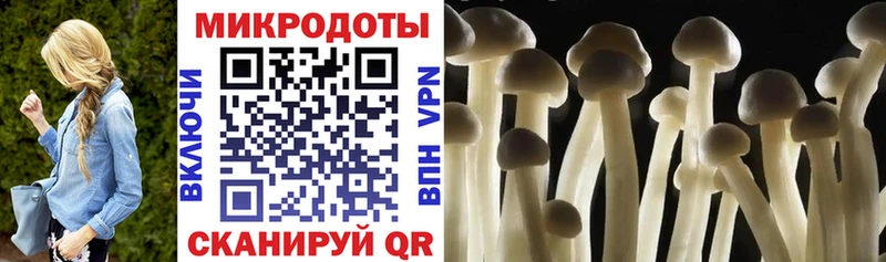 Галлюциногенные грибы Cubensis  Долинск 